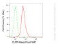 KD-Validated Anti-CLPP Rabbit Monoclonal Antibody